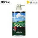 【ポイント3倍!9日20時から】サニープレイス ザクロ精炭酸 シャンプー 800mL ボトル / 【送料無料】 美容室 サロン専売品 美容院 ヘアケア サニープレイス おすすめ
