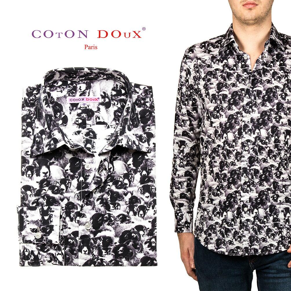   Ĺµ   줤  ȥ ץ  ե ǥ󥷥 奢륷 ɥ쥹 ȥå Ρ...