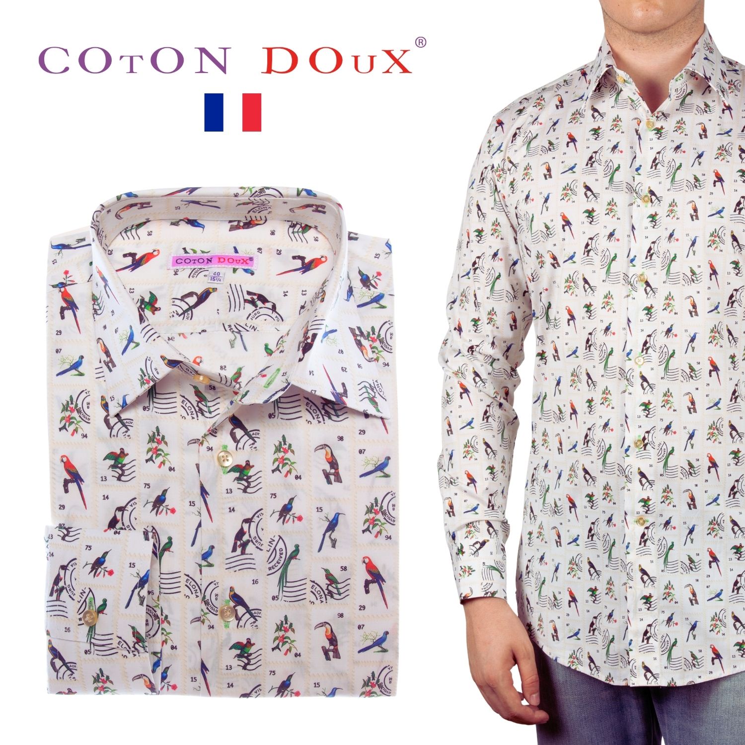   Ĺµ Ļ ˡ ȥåΡ󡡹饨ץʻ  ɼꥷ ֥եå ޯͥ奢...