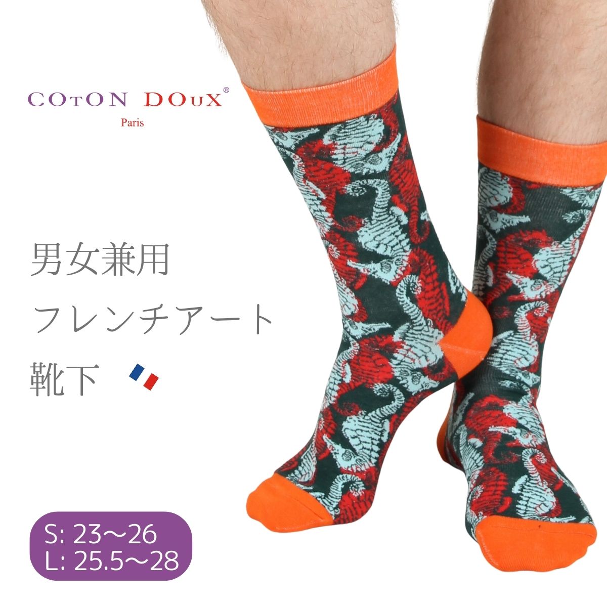 \bNX C  Y fB[X  |bv  IV  킢 ^cmIgVS Aj} CotonDouxiRghDj s22505