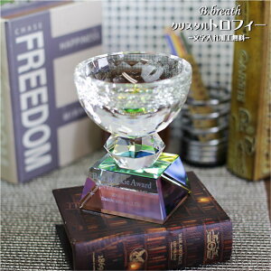 優勝杯 トロフィー trophy ウイナーズカップ 優勝カップ 大会記念 ゴルフコンペ スポーツ大会 記念品 オリジナルトロフィー とろふぃー 送料無料 彫刻無料 名入れ ロゴマークOK【ポイントアップ祭】