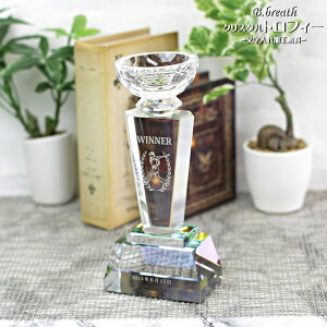 優勝杯 トロフィー trophy ウイナーズカップ 優勝カップ 大会記念 ゴルフコンペ スポーツ大会 記念品 とろふぃー 送料無料 彫刻無料【名入れ ロゴマークOK】