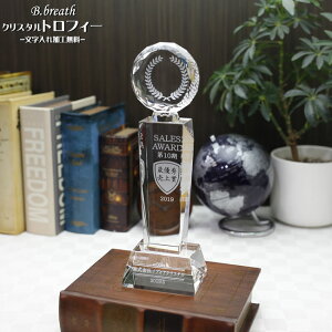 優勝杯 トロフィー trophy ウイナーズカップ 優勝カップ 大会記念 ゴルフコンペ スポーツ大会 記念品 オリジナルトロフィー とろふぃ 送料無料 彫刻無料【名入れ ロゴマークOK】ポイントアップ祭