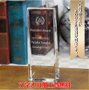 優勝記念 trophy トロフィー とろふぃー 大会記念 表彰記念品 オリジナル彫刻 卓上 ゴルフコンペ スポーツ大会 記念品 オリジナル【名入れ】