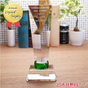 トロフィー 優勝 記念品 スポーツ大会 オリジナル 名入れトロフィー trophy とろふぃー 彫刻無料 名入れ【ポイントアップ祭】
