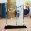 トロフィー（記念品） ツイン型 トロフィー 優勝 記念品 スポーツ大会 オリジナル 名入れトロフィー trophy とろふぃー 名入れ無料【ポイントアップ祭】