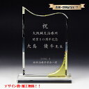 表彰楯 優勝楯 会社記念 退職記念にオリジナル楯(盾)を/オリジナル 記念楯 オーダーメイド クリスタル 送料無料 記念盾【名入れ】ポイントアップ祭