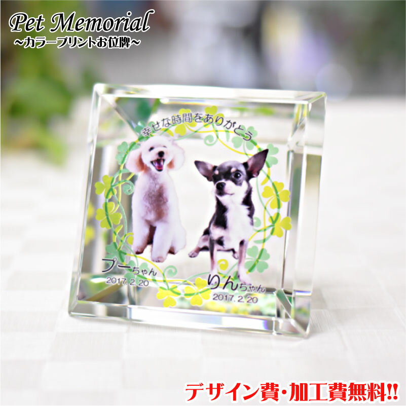 ペット位牌 ペット 位牌 写真プリント 遺影 仏壇 モダン 仏具 手元供養 クリスタル位牌 犬 猫 うさぎ メモリアル オープン仏壇 写真加工 いひ いはい 送...