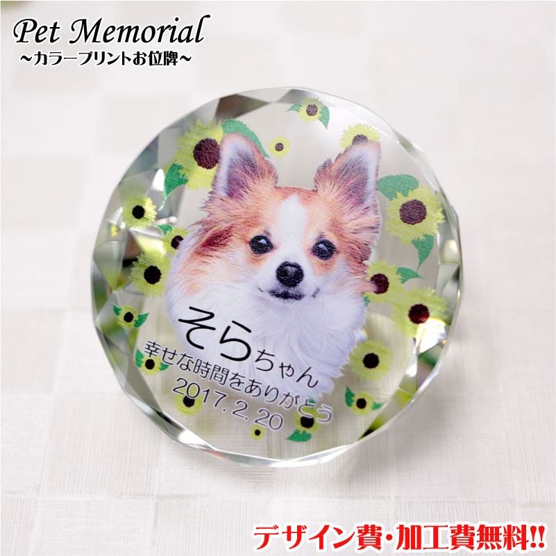 ペット位牌【UVカラープリント】ペット 位牌 写真プリント 仏壇 モダン 仏具 クリスタル位牌 プリント ペット供養 犬 猫 うさぎ メモリアル オープン仏壇 ...
