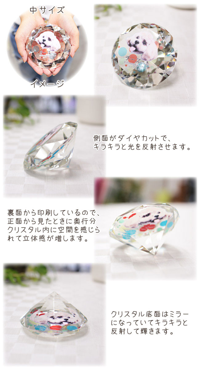 ペット位牌【UVカラープリント】ペット 位牌 写真プリント 仏壇 モダン 仏具 クリスタル位牌 プリント ペット供養 供養 犬 猫 うさぎ メモリアル オープン仏壇 写真加工 いひ いはい 名入れ ポイントアップ祭