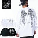 STYLEKEY CLASSIC LABEL(スタイルキー クラシック・レーベル) 長袖Tシャツ FALLEN ANGEL L/S TEE(SK99CL-LS18) ヒップホップ HIPHOP B系 ストリート系 レゲエ ロック バンド ロンT 長T 堕天使 羽 翼 バックプリント SNS ロゴ 大きいサイズ ビッグサイズ 3L 4L XXL XXXL