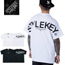 STYLEKEY CLASSIC LABEL X^CL[ NVbNE[x TVc SCALE S/S TEE(SK99CL-SS23) rbO S |Cg Vv obNvg Y fB[X t@bVqbvzbv HIPHOP Bn Xg[gn QG oh T 傫TCY rbOTCY