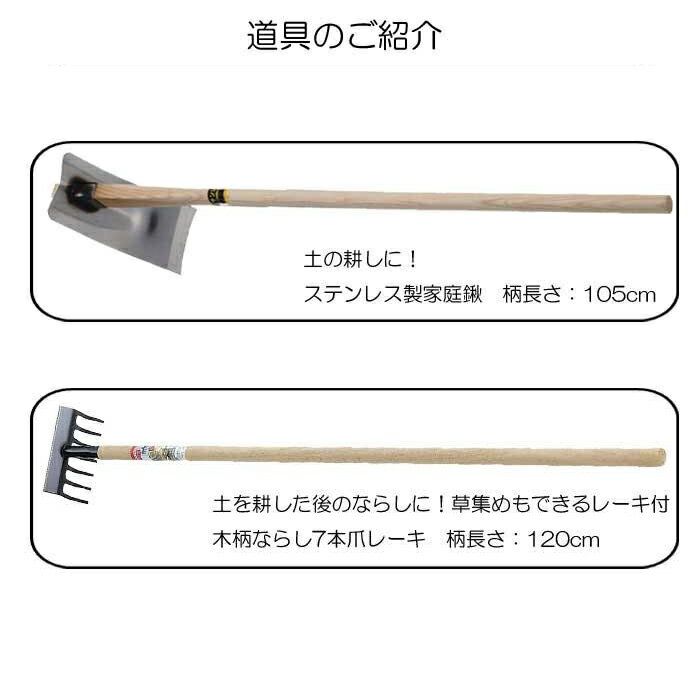 家庭菜園2点セット ( 道具 農作業 便利 グッズ ガーデニング 雑貨 鍬 草刈り 草取り ガーデン くわ 園芸 立ったまま レーキ 草刈 鎌 草むしり ステンレス 農具 草刈り鎌 用品 庭 農機具 業 畑 クワ かま 畑仕事 作業 ) 2