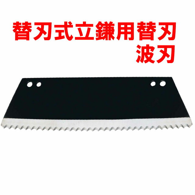 �ؿϼ�����Ω�����ؿϡ��ȿ�) 08062 ���𴢳�