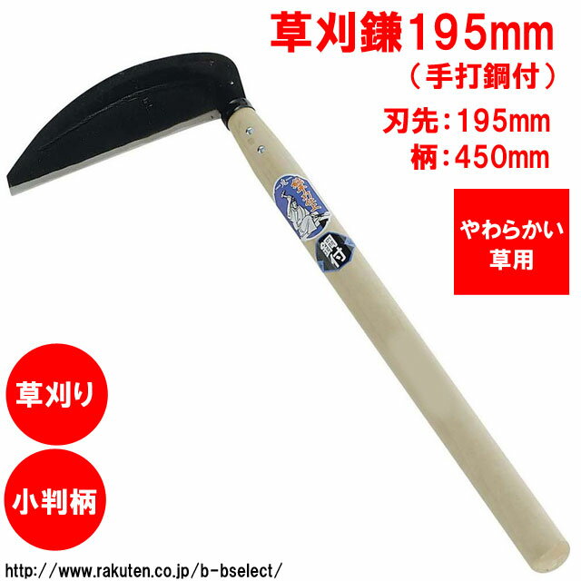 �����𴢳�195mm�ʼ��ǹ��ա�02070( �� ���å� �����ǥ˥� ������ ���� ������� ���� �Ǵ� ���� �����ǥ�ġ��� �������� �����ǥ˥��Ѷ񡦹��� ���� ���� ������ ���� ���� ����� �����ǥ����� ���� �𴢤�� �� ���� ƻ�� �𴢤� )