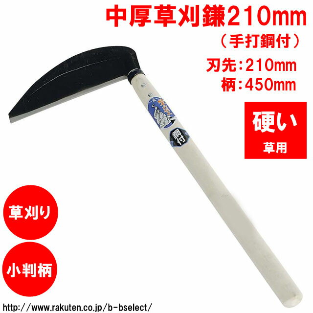 ����𴢳�210mm�ʼ��ǹ��ա�02090( �� ���å� �����ǥ˥� ������ ���� ������� ���� �Ǵ� ���� �����ǥ�ġ��� �������� �����ǥ˥��Ѷ񡦹��� ���� ���� ������ ���� ���� ����� �����ǥ����� ���� �𴢤�� �� ���� ƻ�� �𴢤� )