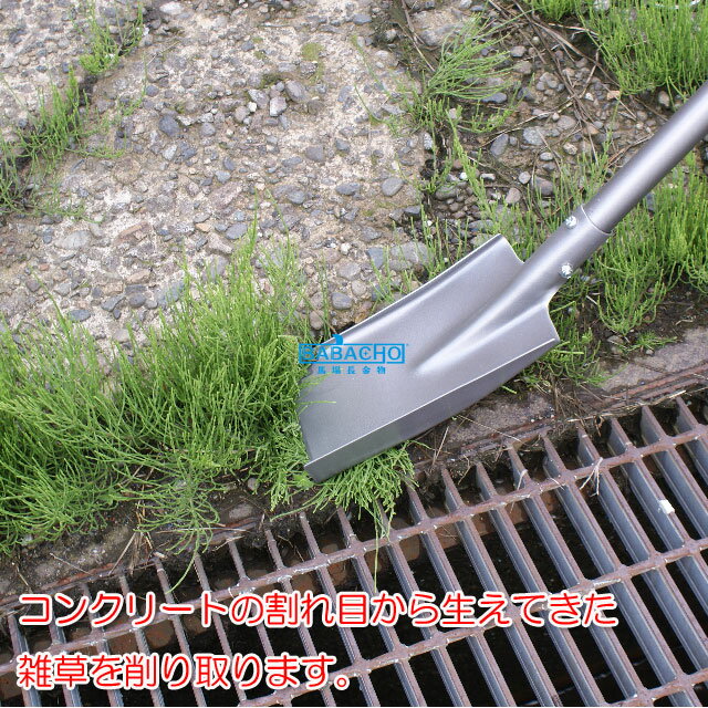 �𴢤ꥹ�� FSS-120 ( ���� ƻ�� �𴢤� ���� �� ���� �� ���å� �����ǥ˥� �������å� ȴ�� ������ ���� ��ष�� ������ ������� ���� �����ڱ� ���� ���� ���� ����� �����ǥ����� )