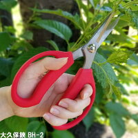 ガーデニングばさみ 握力が弱くても切りやすい 高齢者向け植木バサミのおすすめプレゼントランキング 予算3 000円以内 Ocruyo オクルヨ ガーデニングばさみ 握力が弱くても切りやすい 高齢者向け植木バサミのおすすめプレゼントランキング 予算3 000円以内 Ocruyo オクルヨ