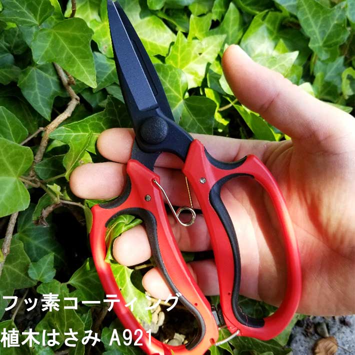 フッ素コーティング植木はさみ A921( 剪定ばさみ 剪定バサミ ガーデニング 剪定はさみ 剪定ハサミ 花ハサミ 枝きり 盆栽 生花用 花鋏 園芸 用品 用具 剪定用 ガーデン 雑貨 園芸ハサミ 剪定 ガーデン用品 資材 グッズ 庭)