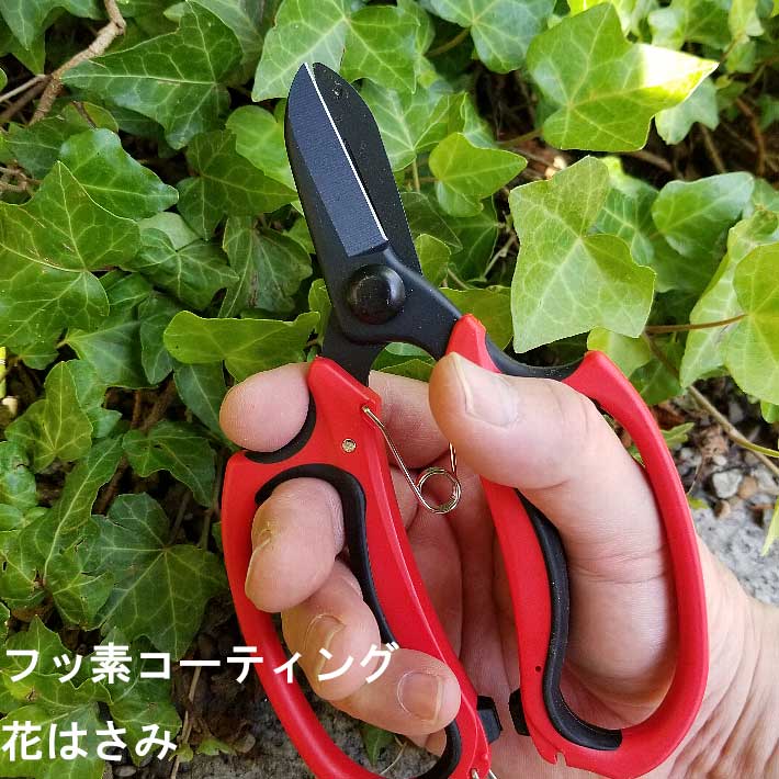 フッ素コーティング花はさみ A922(剪定ばさみ ガーデニング 剪定はさみ 剪定ハサミ 花ハサミ 剪定バサミ 枝きり 盆栽 生花用 花鋏 園芸 用品 用具 剪定用 ガーデン 雑貨 園芸ハサミ 剪定 ガーデン用品 資材 グッズ 庭)のサムネイル