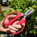 古流鋏 BH3 ( ガーデニング 剪定はさみ 剪定ハサミ 剪定バサミ 生花用 花鋏 園芸用品 雑貨 雑貨 園芸ハサミ 剪定 ガーデニング用品 ハサミ はさみ 庭 植木鋏 植木ハサミ 花ばさみ 園芸はさみ ガーデン用品剪定 )