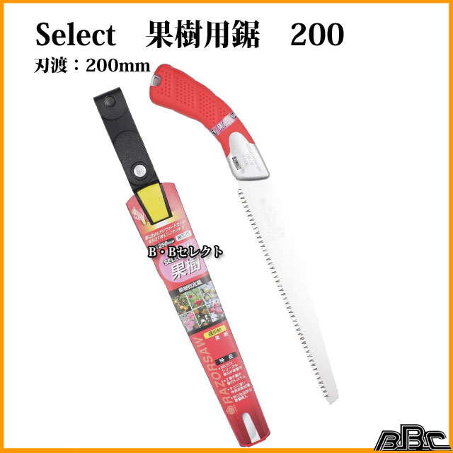 �Τ����� �쥶�������̼��ѵ�200 Select No156 ( ���ڤ� ���� ¤��� ��ʪ �̼� ���� ���� ���� �ߤ��� �� �� �Ӹ� ��� �Υ����� �� Ŧ�� ������ ��Ǽ �ڹ� �� �̼� ���� ��� ���� ��� �� �ڤ� ƻ�� �ؿ� �����ǥ˥� )