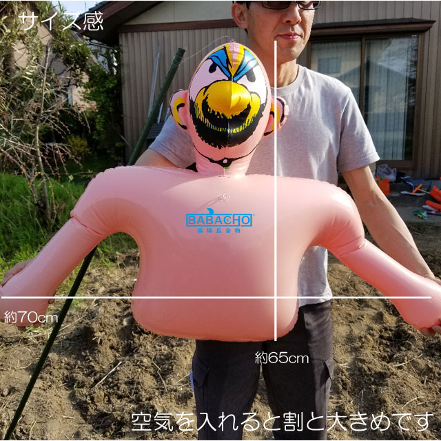 龍宝丸 かかし BOY K-001(ベランダ 鳥よけグッズ 鳩よけ 鳥 害 撃退 カラス 対策 グッズ 鳩対策 駆除 ハトよけ 防鳥 鳥よけ 鳩 害鳥 ガード 園芸用品その他 園芸用資材・雑品 ガーデニング 家庭菜園 畑 鳥獣対策 鳥害対策 はと 鳥対策)