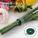 1000円ポッキリ 送料無料 便利なガーデンテープ 幅15mm×10m巻 ( )