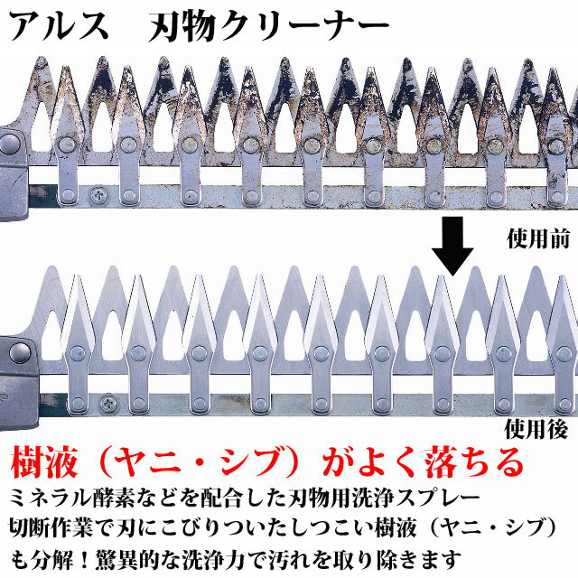 ���륹 ��ʪ���꡼�ʡ�GO-3 ( ����� ���å� �����ǥ˥� ������ �����ǥ� ��� ���� �� ���� �����ڱ� �����ǥ����� ���� ���꡼�ʡ� ��ʪ ��ʪ ���� ��� ��˼�� ������ ������ ����� ����Ф��� �Υ����� ��Ϸ���� )