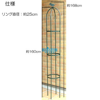 オベリスク最強化計画 オベリスク最強化計画