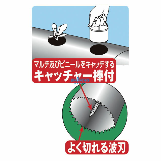 HC-60�����ƥ�쥹�ޥ���ꤢ�����å���60�� ( �ꤢ�� �곫�� ���å��� �����ǥ󻨲� �����ǥ����� �����ǥ˥����� �����ǥ˥󥰻��� �����ǥ˥� ������� ��� ����� ���� ���å� �������å� ���� �����ǥ� �����ڱ� �ꤢ�����å��� )
