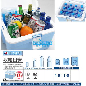 クーラーボックス アイセル#13( 小型 おしゃれ かわいい クラーボックス ミニ ミニクーラーボックス 保冷ボックス クーラー ボックス 釣り 保冷バッグ 便利グッズ 収納 アウトドア クーラーバッグ 保冷 キャンプ スポーツ クーラーバック 海水浴 14l 14リットル )通販格安セール情報 楽天 通販