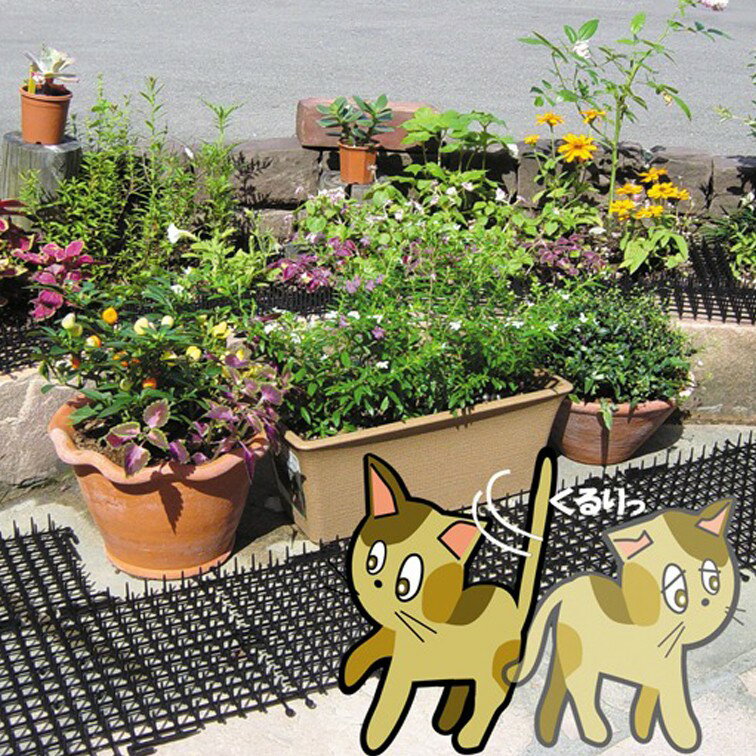 スーパーSALE ポイント2倍 ここダメシート 10枚入り ( ベランダ 鳩 よけ 鳥 カラス 対策 ガーデニング 鳥 撃退 鳩 駆除 カラス 除け ハト 防鳥 はと トゲ マット 対策 からす 害獣 鳥 からす 園芸 バルコニー 糞 よけ とげ マット 玄関 避け 猫 糞害 侵入 防止 予防 )