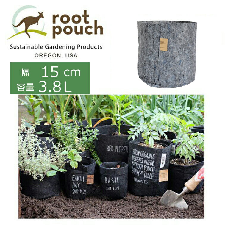 BB쥯ȳŷԾŹ㤨Root Pouch 롼ĥݡʤ 1 ʬ ľ15cm 3.8L 졼 ( ٥ ץ󥿡  ǥ˥  ǥ    ȭ ޤ ڥݥå 󤻿 ڱ ȭ ݥå ƥʥ֥  å פβǤʤ616ߤˤʤޤ