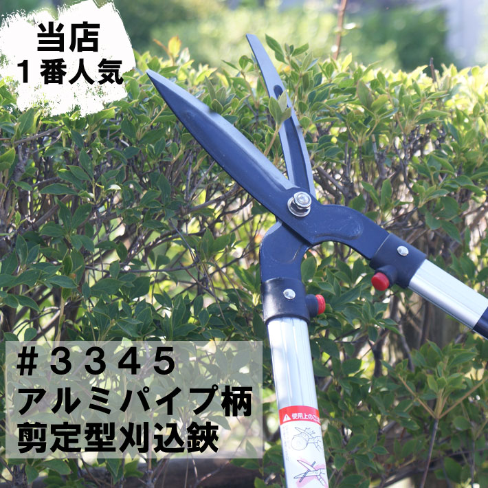 槙 マキ とは 生垣 庭木としての管理方法や手入れの仕方を紹介 2ページ目 Botanica