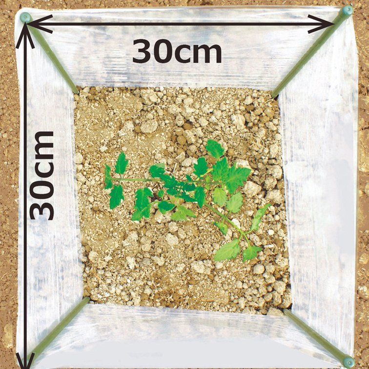 ����ĥ����ɥ��å� �磻�� ( ����� ���� ���å� ���� �����ǥ˥� ���� �����ǥ� ������� ���� ����� �������å� ��� ���� ���� �����ڱ� ���� ������� �����к� ���� ���Ȼ�� ���𥷡��� ���� ��褱 ���褱 �ݲ� ���С� )