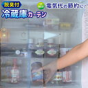 1000円ポッキリ 送料無料 脱臭付き