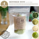 ★ライフスタイルに合わせてカスタマイズできるグリーンでオリジナルのアートピースを作成☆REINDEER MOSS(レインディアモス)URBAN GREEN MAKERS(アーバングリーンメーカーズ) 全4タイプ（SPRING-GREEN/NATURAL/MINT-GREEN/GREEN）