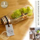 BEAKER TERRARIUM KIT TUBEir[J[eELbg `[ujugm0106 URBAN GREEN MAKERS(A[oO[[J[Y)