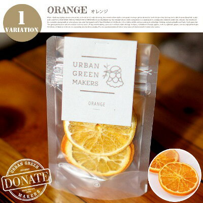 オリジナルテラリウムキット〜ORANGE(オレンジ) ugm0391 URBAN GREEN MAKERS(アーバングリーンメーカーズ)