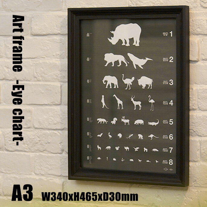 Art Frame Eye chart(アートフレーム アイチャート) A3 size 黒フレーム TR-4197(EC) ARTWORKSTUDIO(アートワークスタジオ) 送料無料