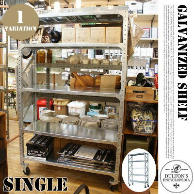 Galvanized shelf (Single)（ガルバナイズドシェルフ シングル）SLF01-S DULTON（ダルトン）