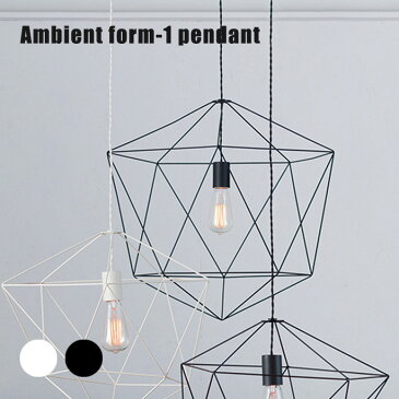 アートワークスタジオ ARTWORKSTUDIO ペンダントライト アンビエントフォーム1ペンダント(Ambient form1-pendant) AW-0470Z・AW-0470V 全2色(BK・WH)全2種(電球無・白熱球) 送料無料
