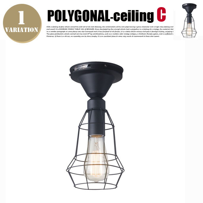 シーリングランプ アートワークスタジオ ポリゴナルシーリングC(Polygonal-ceiling C) ペンダントライト AW-0477Z・AW-0477V 全2種（電球無・白熱球） ARTWORKSTUDIO