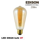 LED Xou VF GW\ LED SWAN BULB VF EDISON SWB-E061L d d Cg LEDtBg őd4W