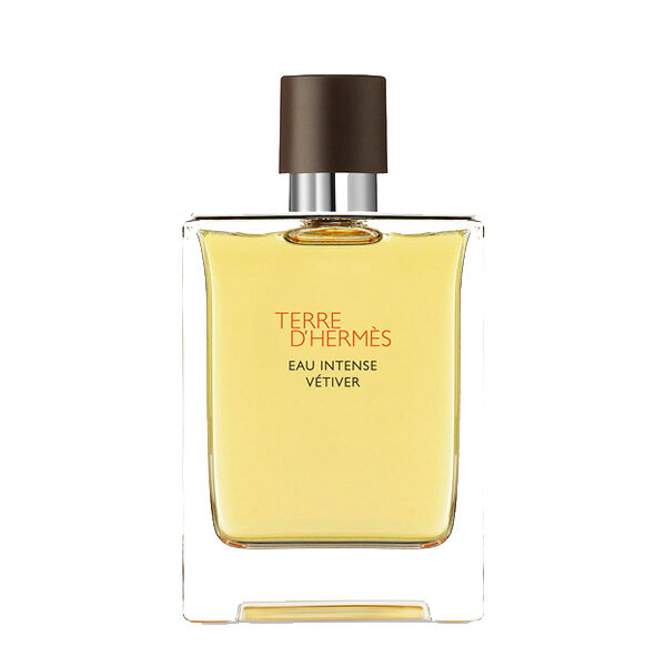 エルメス 【ワンダフルデーはポイント3倍！】 エルメス HERMES テール ドゥ エルメス オー インテンス ベチバー EDP SP 100ml HERMES メンズ 香水 フレグランス ギフト プレゼント 誕生日