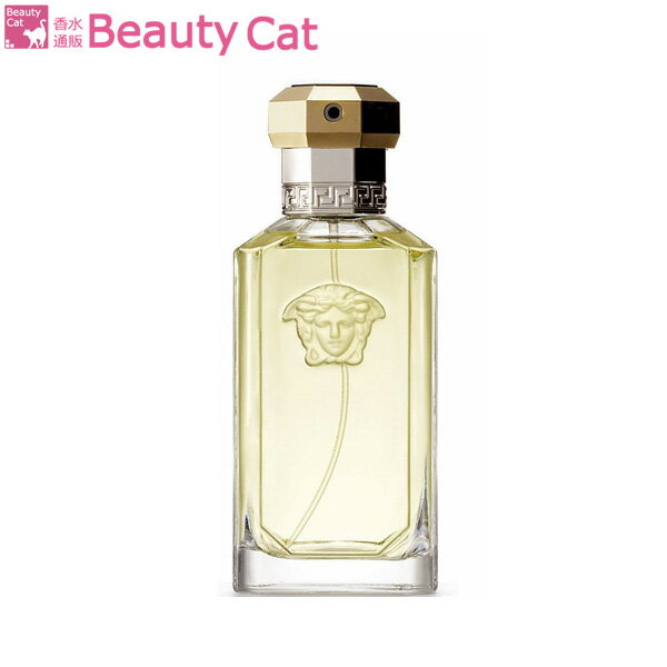 ヴェルサーチ 【只今、店内全品ポイント20倍！】 ヴェルサーチ ● ザ ドリーマー EDT SP 100ml GIANNI VERSACE【訳あり★テスター】 お試し ユニセックス 香水 フレグランス 【あす楽対応】