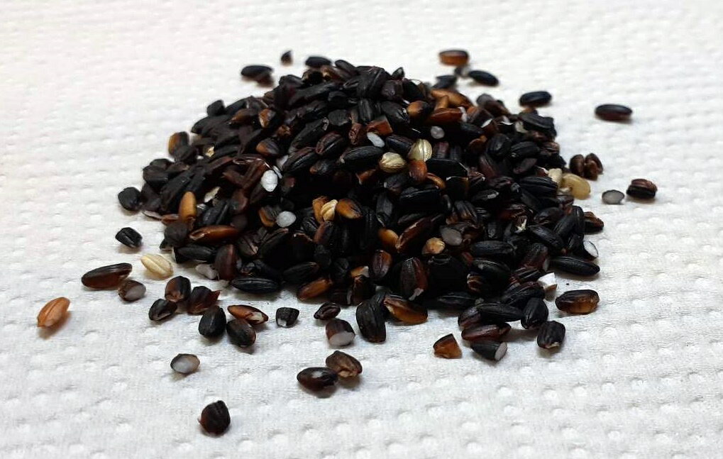 �ܺ긩 ���ڽ��פ��󤬺�ä� �����ޤ� �ʹ��ơ�100g500�ߤǤ���