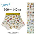 【ポイント10倍】パンツ キッズ　男の子【2023S/S】【ネコポス対応】OCEAN&GROUND【オーシャンアンドグラウンド】ボクサーパンツ【キッズ】100～140cm