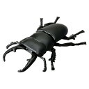 タカラトミー(TAKARA TOMY) アニア AS-41 ヒラタクワガタ 昆虫 おもちゃ 3歳以上【新品】